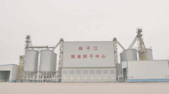 抓重点、做亮点，打造国家粮食物流重点节点——江苏省扬子江现代粮食物流公司粮油仓储服务实践